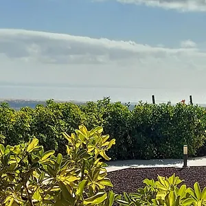 The Black Horse Canarias - Adults Only Casa rural Maspalomas (Gran Canaria)